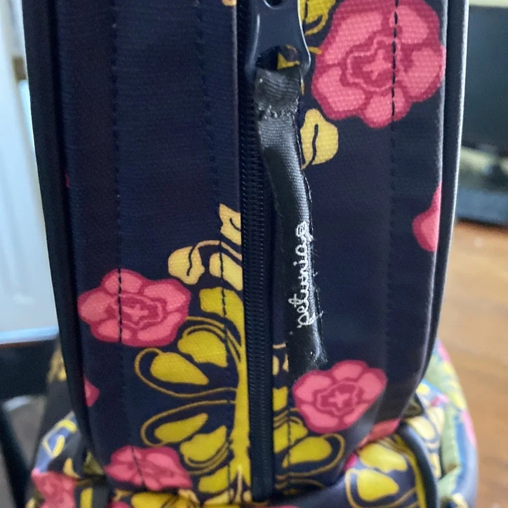 Petunia pickle bottom boxy backpack diaper bag